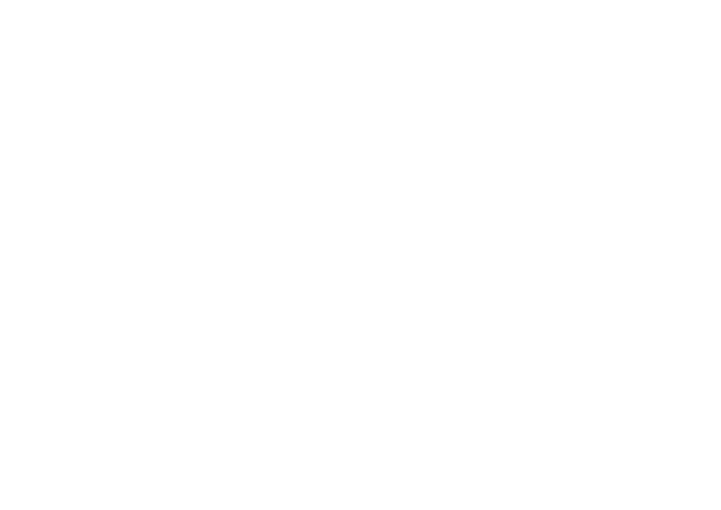 American Auto Force GmbH