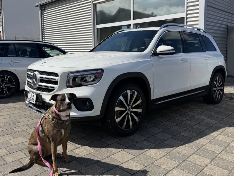 Satisfied American Auto Force customer